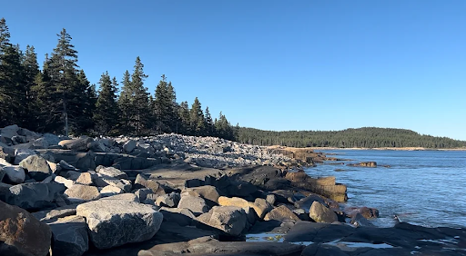 image of acadia national park 